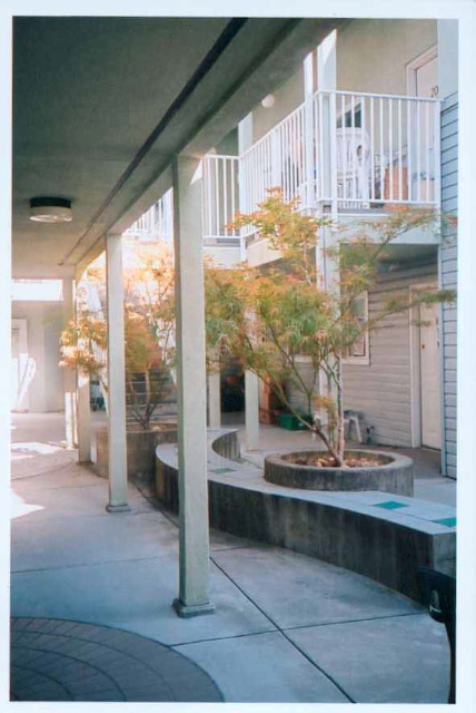 Downstairs Courtyard