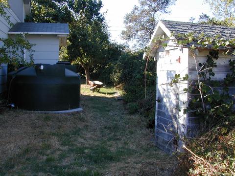  vegetable garden will go alongside property line near the wheelbarrow